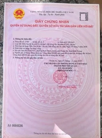 Bất động sản tại Bình Dương - ảnh 1