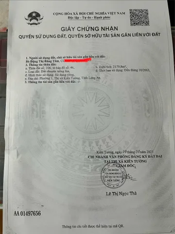 Bất động sản tại Long An - ảnh 1