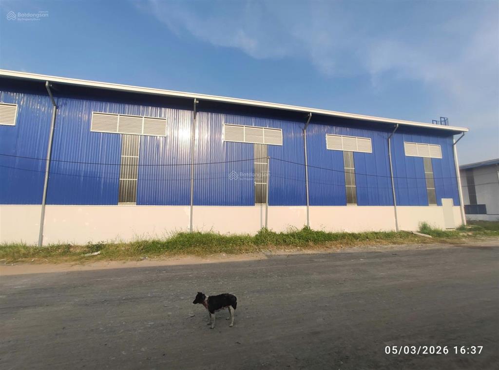 Bất động sản tại Long An - ảnh 1