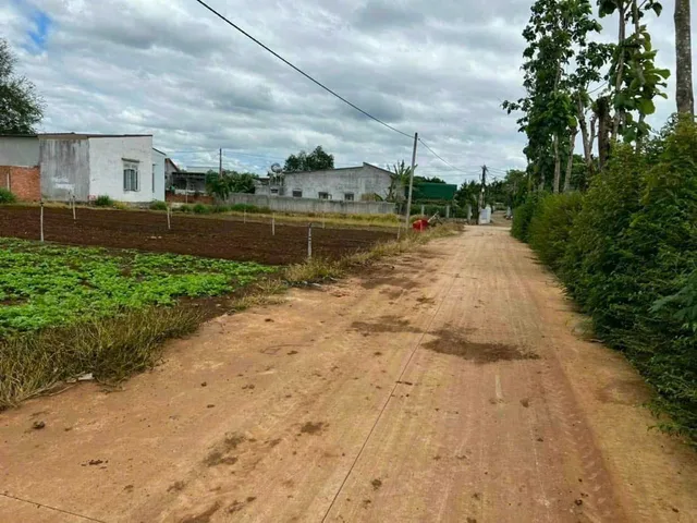 Bất động sản tại Đắk Lắk - ảnh 1