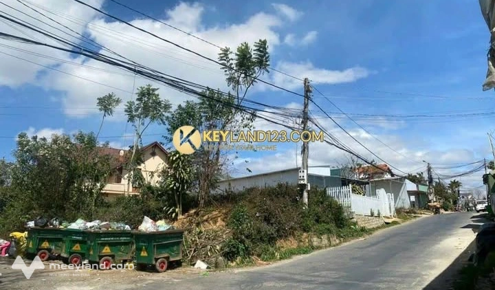 Bất động sản tại Lâm Đồng - ảnh 1