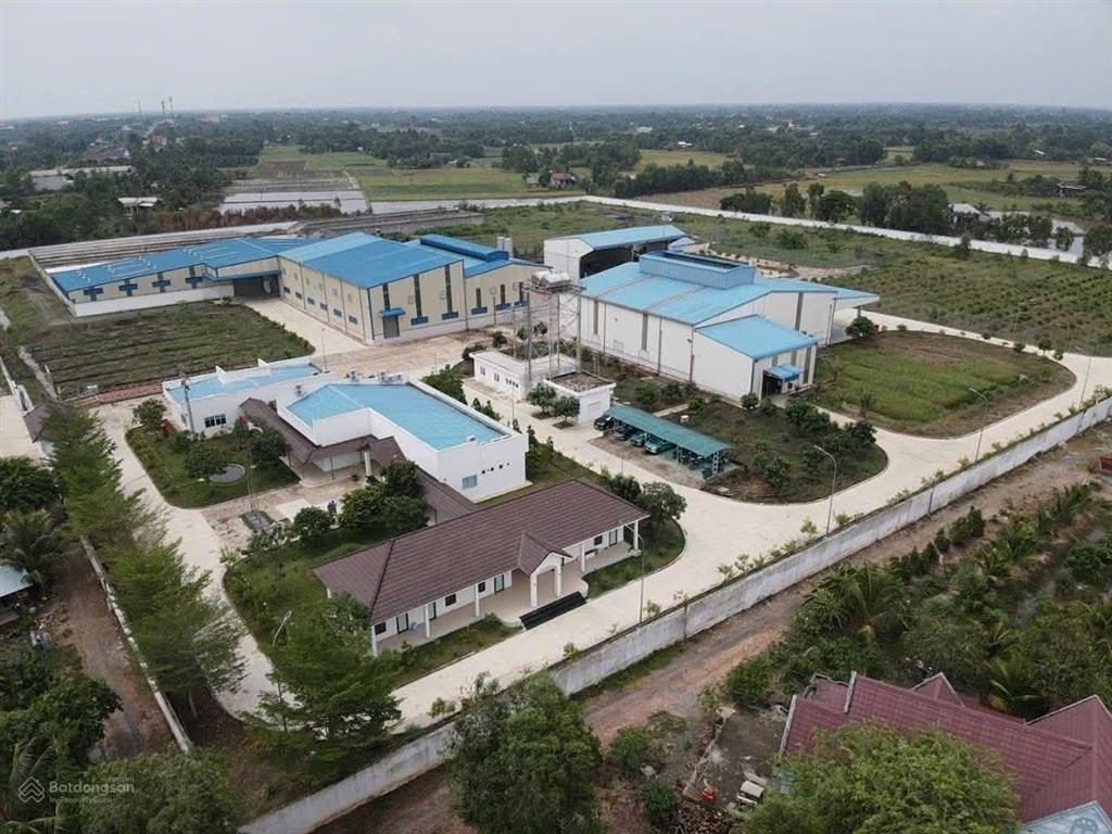 Bất động sản tại Long An - ảnh 1