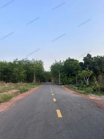 Bất động sản tại Bình Dương - ảnh 1