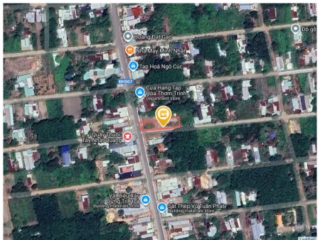 Bất động sản tại Bình Dương - ảnh 1