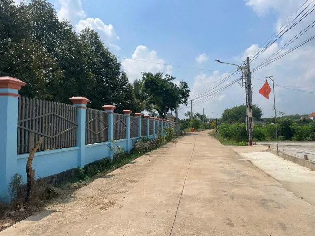 Bất động sản tại Bình Dương - ảnh 1