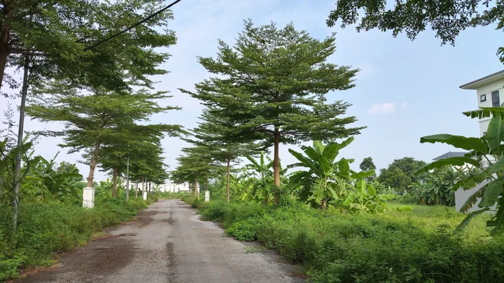 Bất động sản tại Bắc Ninh - ảnh 1