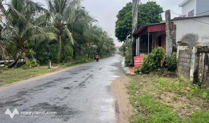 Bất động sản tại Thái Bình - ảnh 1