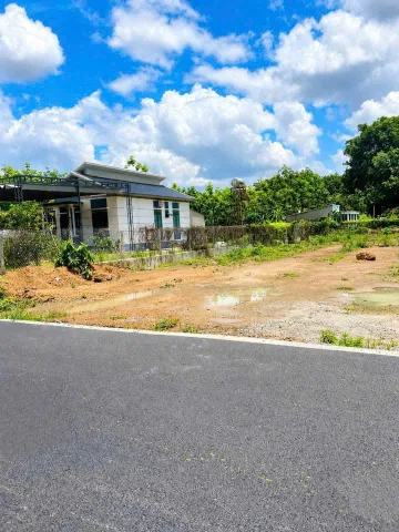Bất động sản tại Bình Dương - ảnh 1