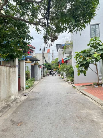 Bất động sản tại Hải Phòng - ảnh 1