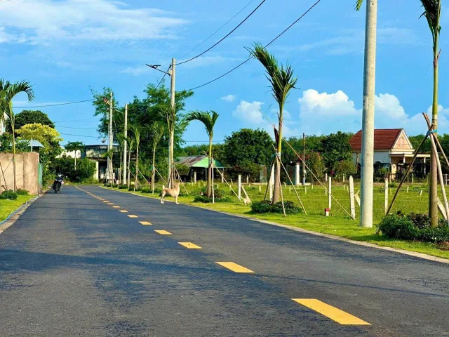 Bất động sản tại Bình Dương - ảnh 1