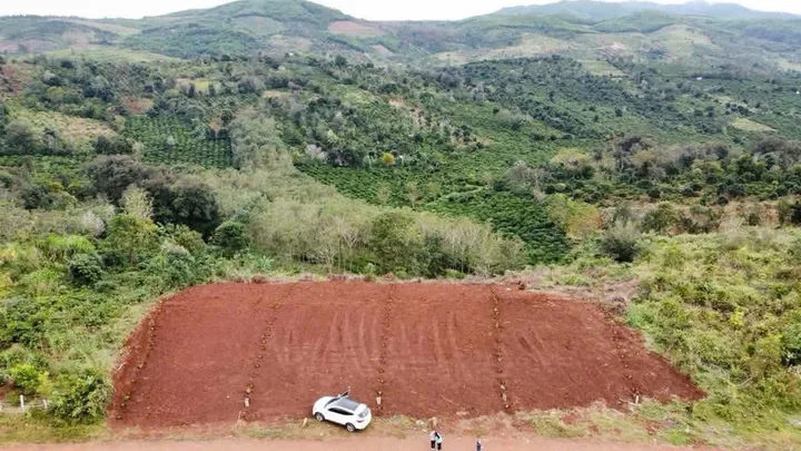 Bất động sản tại Đắk Lắk - ảnh 1