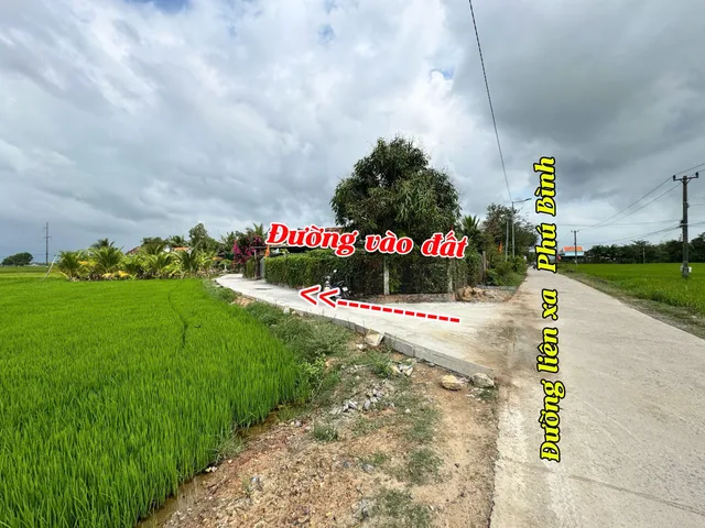 Bất động sản tại Khánh Hòa - ảnh 1