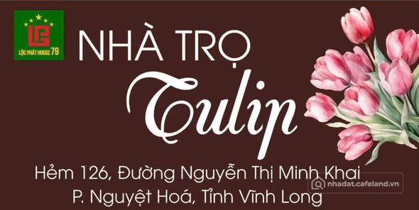 Bất động sản tại Vĩnh Long - ảnh 1