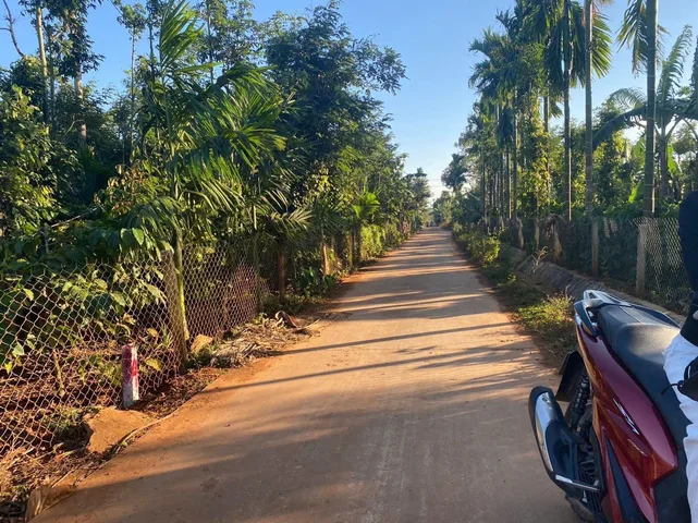 Bất động sản tại Đắk Lắk - ảnh 1