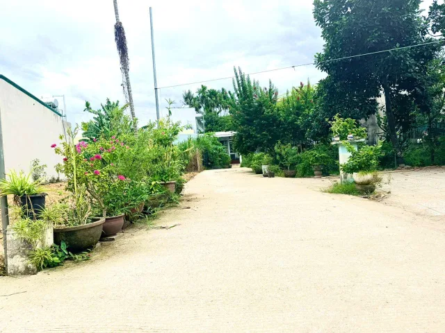Bất động sản tại Quảng Ngãi - ảnh 1
