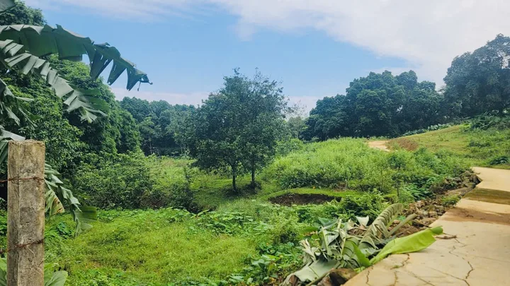 Bất động sản tại Hòa Bình - ảnh 1
