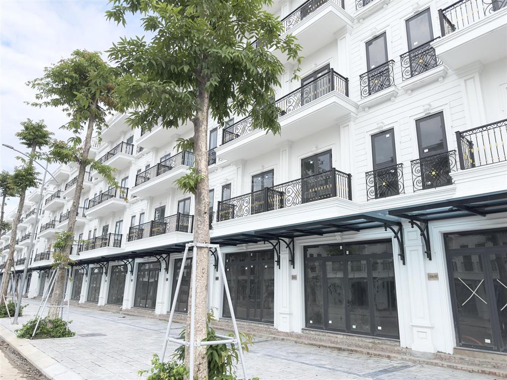 Bất động sản tại Hà Nội - ảnh 1