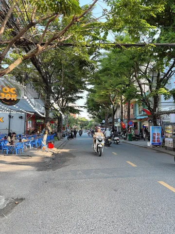 Bất động sản tại Đà Nẵng - ảnh 1