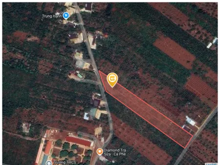 Bất động sản tại Đắk Lắk - ảnh 1