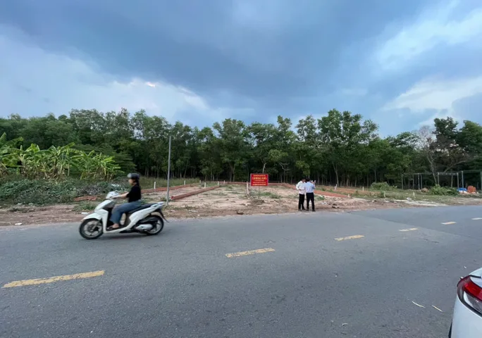 Bất động sản tại Bình Dương - ảnh 1