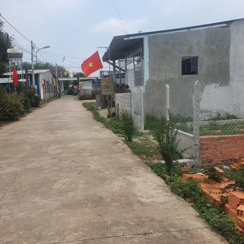Bất động sản tại Bình Dương - ảnh 1