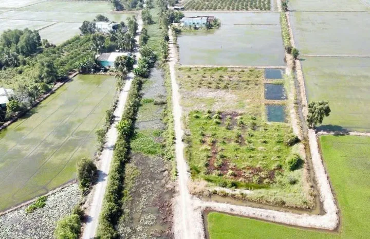 Bất động sản tại Long An - ảnh 1