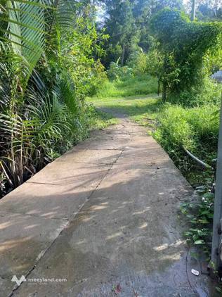Bất động sản tại Bến Tre - ảnh 1