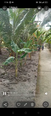 Bất động sản tại Vĩnh Long - ảnh 1