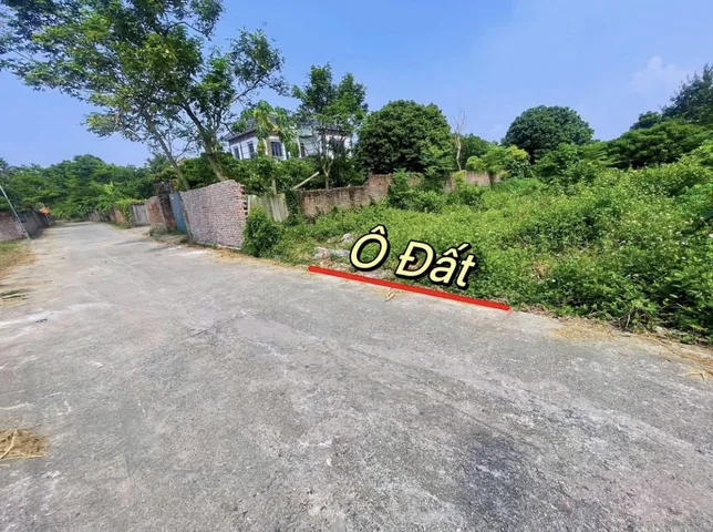 Bất động sản tại Phú Thọ - ảnh 1