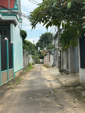Bất động sản tại Đắk Lắk - ảnh 1