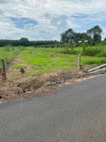 Bất động sản tại Bình Dương - ảnh 1