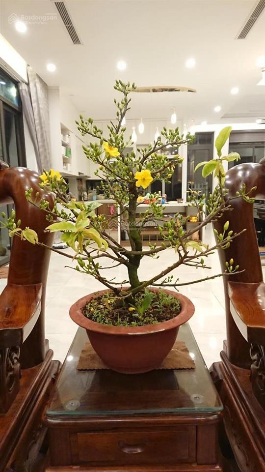 Bất động sản tại Hưng Yên - ảnh 1