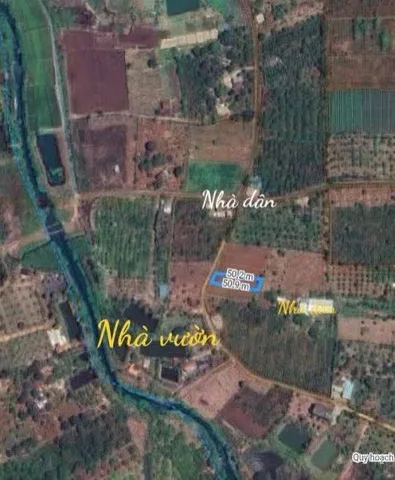 Bất động sản tại Đắk Lắk - ảnh 1