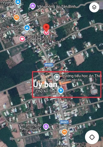 Bất động sản tại Bình Dương - ảnh 1