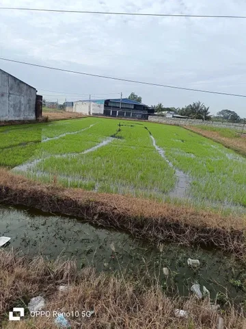 Bất động sản tại Tây Ninh - ảnh 1