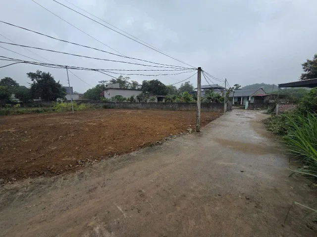 Bất động sản tại Phú Thọ - ảnh 1