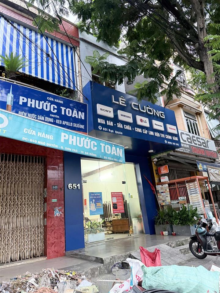 Bất động sản tại Đà Nẵng - ảnh 1