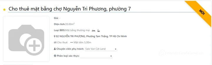 Bất động sản tại TP. Hồ Chí Minh - ảnh 1
