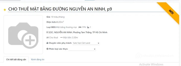 Bất động sản tại TP. Hồ Chí Minh - ảnh 1