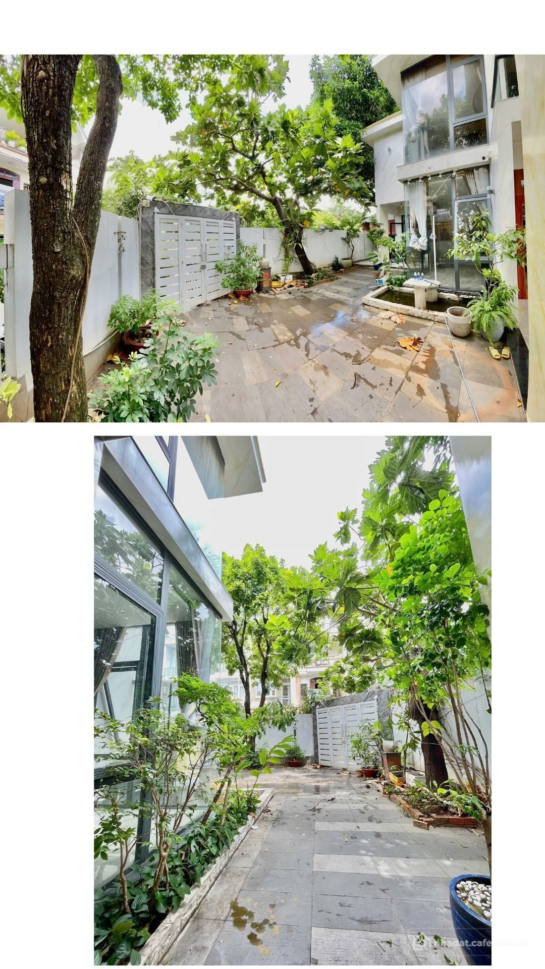Bất động sản tại Tuyên Quang - ảnh 1