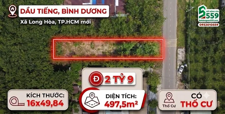 Bất động sản tại Bình Dương - ảnh 1