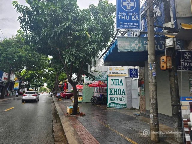 Bất động sản tại TP. Hồ Chí Minh - ảnh 1