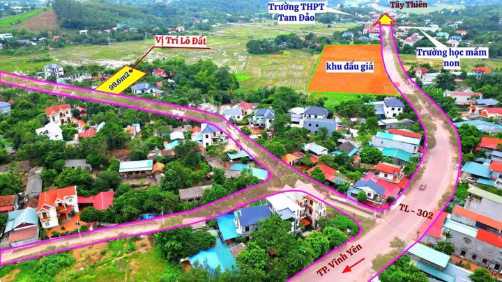 Bất động sản tại Phú Thọ - ảnh 1