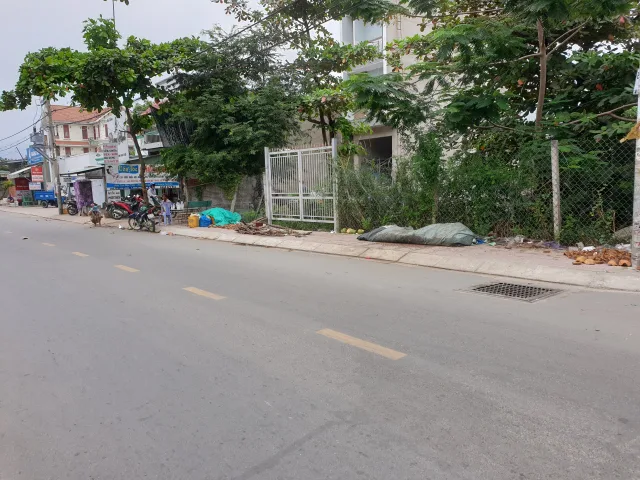 Bất động sản tại TP. Hồ Chí Minh - ảnh 1