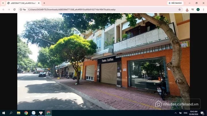 Bất động sản tại TP. Hồ Chí Minh - ảnh 1