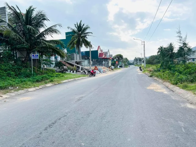 Bất động sản tại Bình Định - ảnh 1