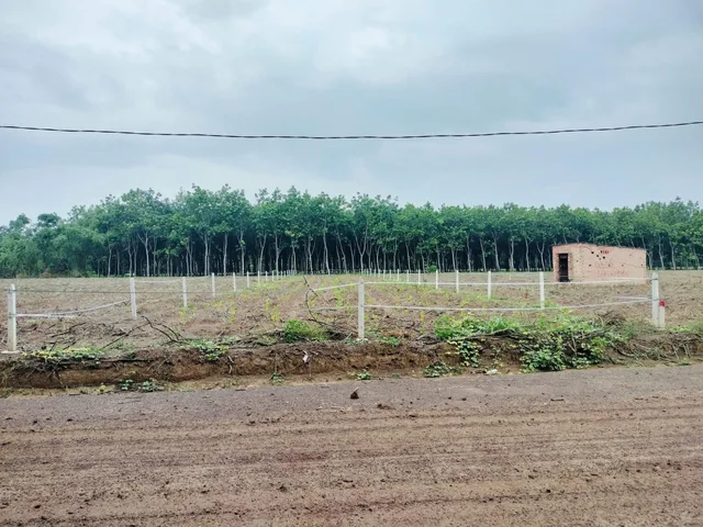 Bất động sản tại Bình Dương - ảnh 1