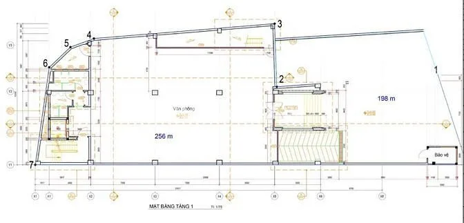 Bất động sản tại TP. Hồ Chí Minh - ảnh 1