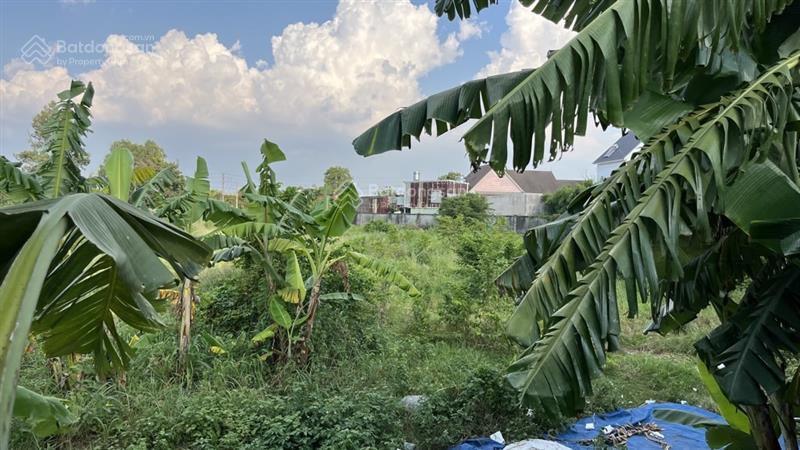 Bất động sản tại Bình Dương - ảnh 1