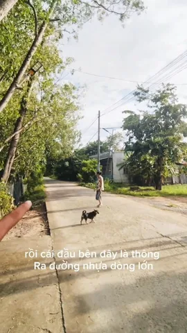 Bất động sản tại Tây Ninh - ảnh 1